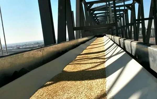 تصویر 2 از نوار نقاله گندم مناسب خطوط انتقال سریع و ایمن